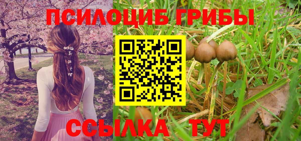 Сарапул  Галлюциногенные грибы Magic Shrooms  где найти наркотики  Вход с VPN 